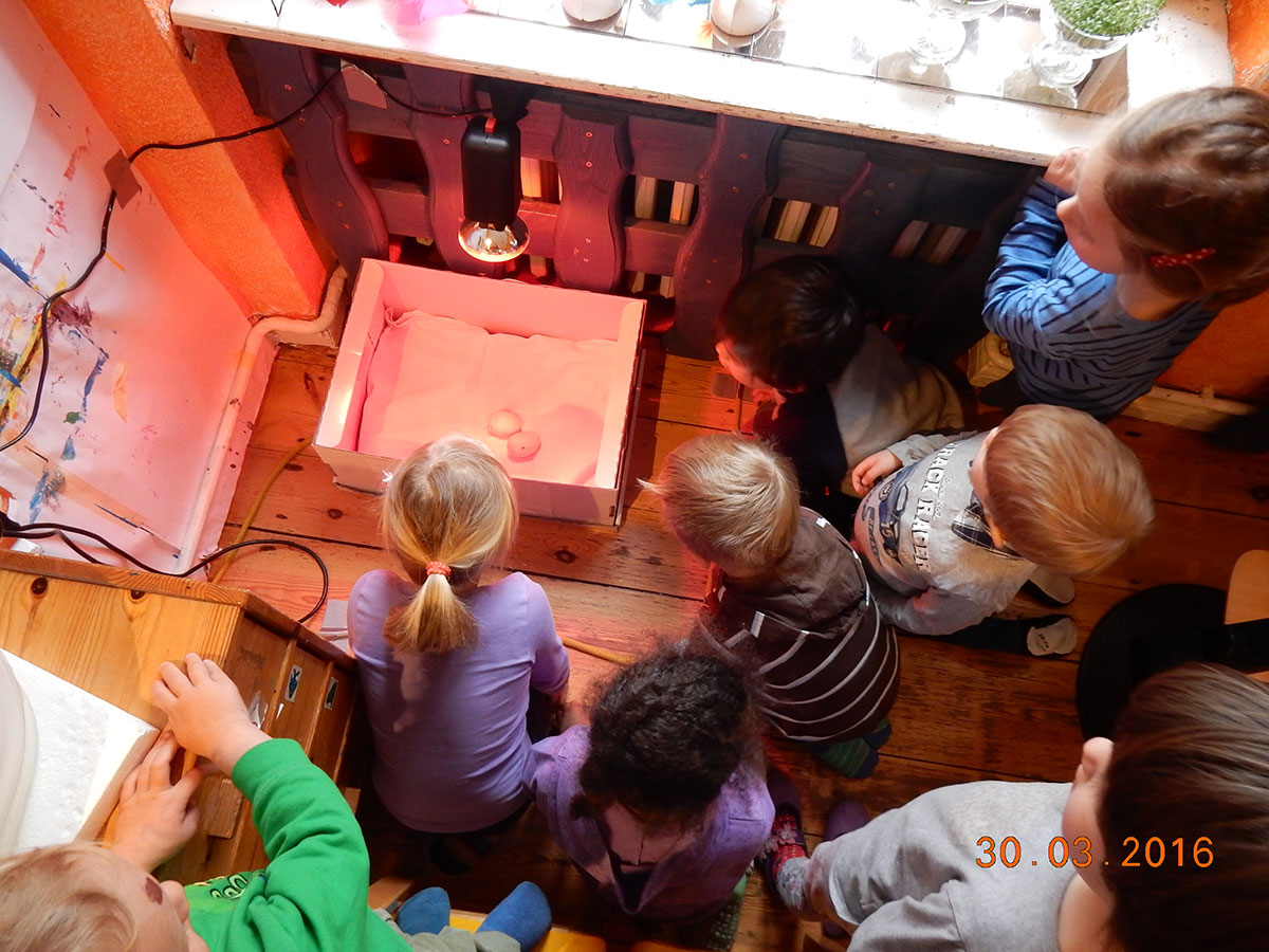 Musik-Kinderladen Schmunzelmonster Eindrücke