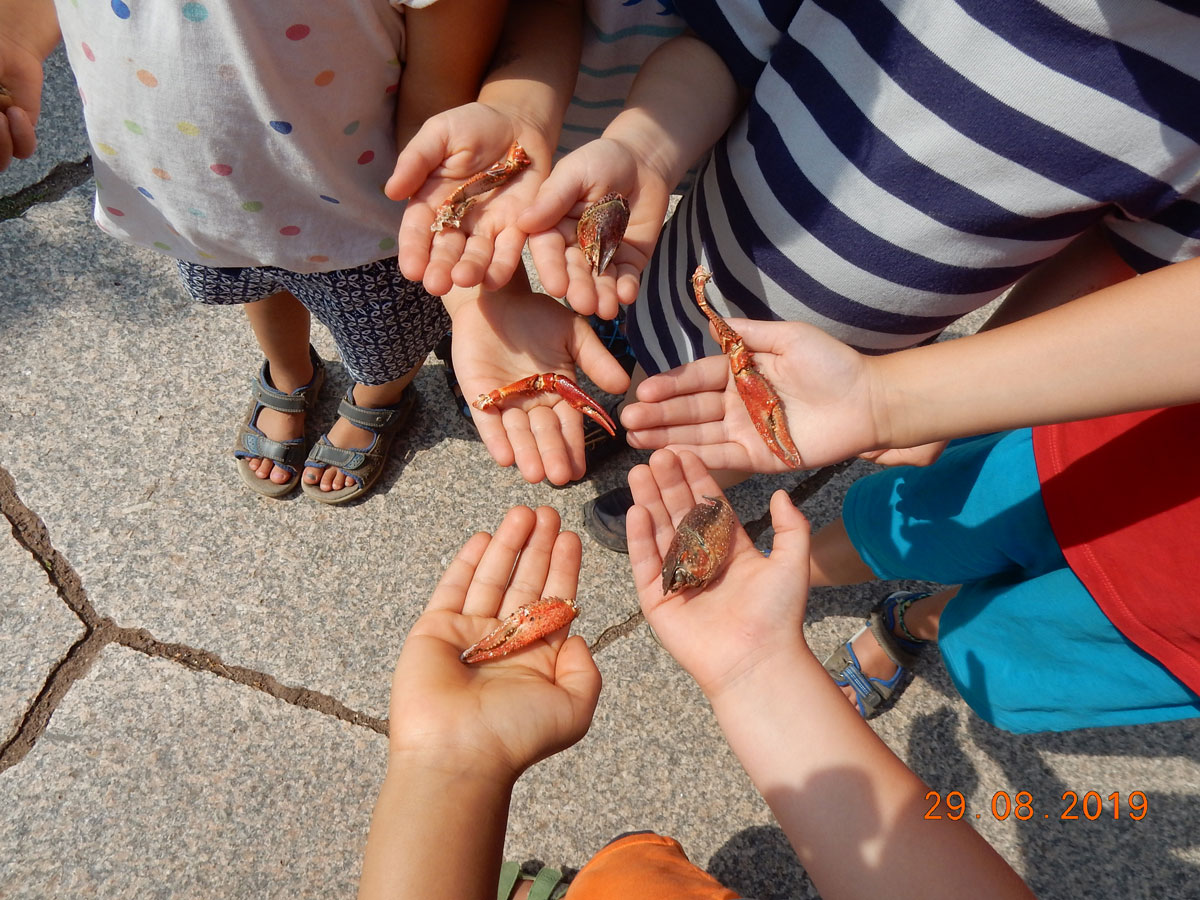 Musik-Kinderladen Schmunzelmonster Eindrücke